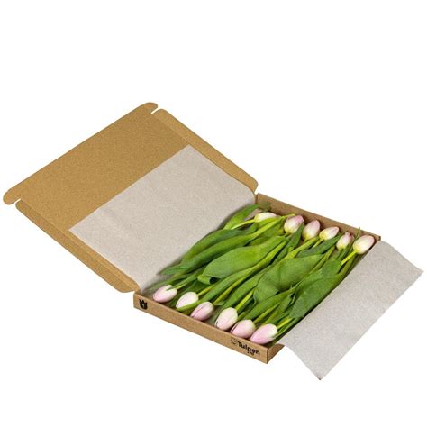 tulpen brievenbus bezorgen